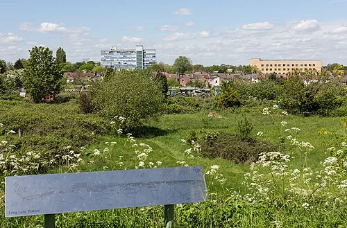 Long Lane Pasture with houses and the former Pentland office buildings in the distance